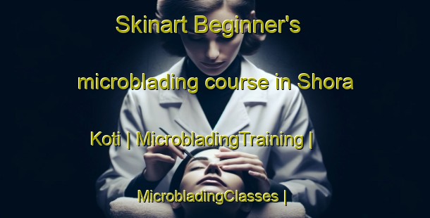 Skinart Beginner's microblading course in Shora Koti | MicrobladingTraining | MicrobladingClasses | SkinartTraining-Pakistan